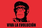 [Image: BT-vivalaevolucion-gallery-2756.jpg]