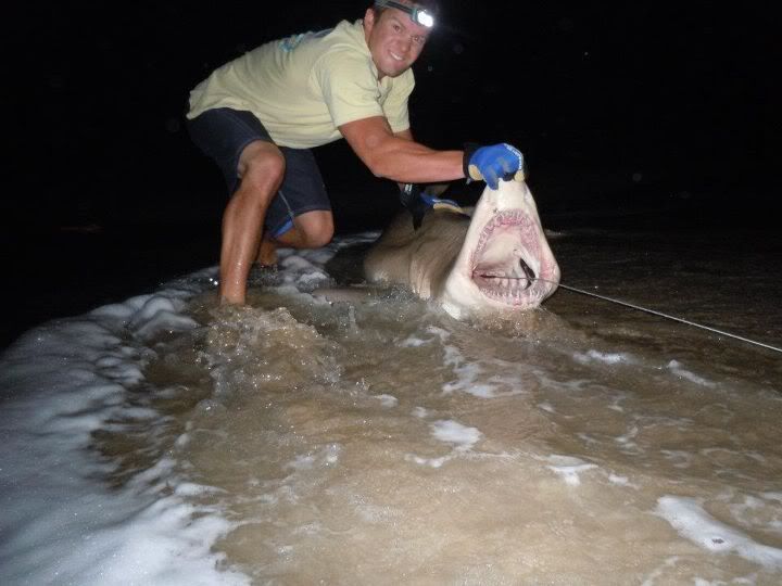 strathmere shark fishin BASS BARN
