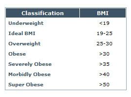 bmi_classifications_small-1.jpg picture by CCRH