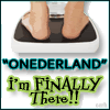 finally_there_onederland_100x100.gif picture by CCRH