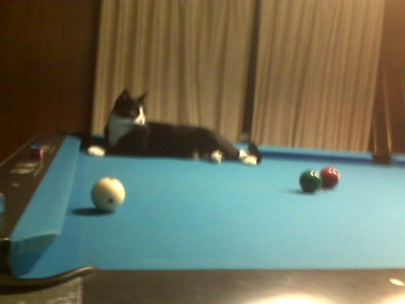 IMG00022.jpg