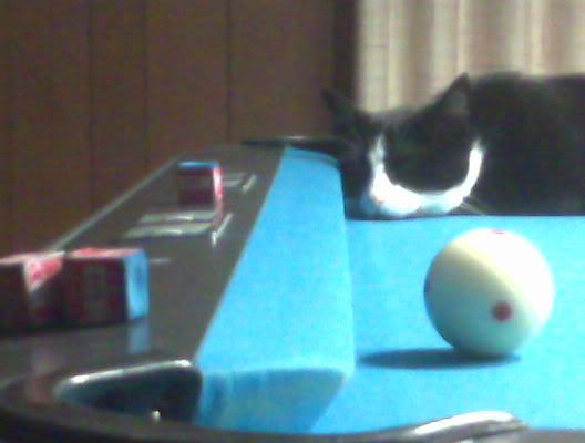IMG00023.jpg