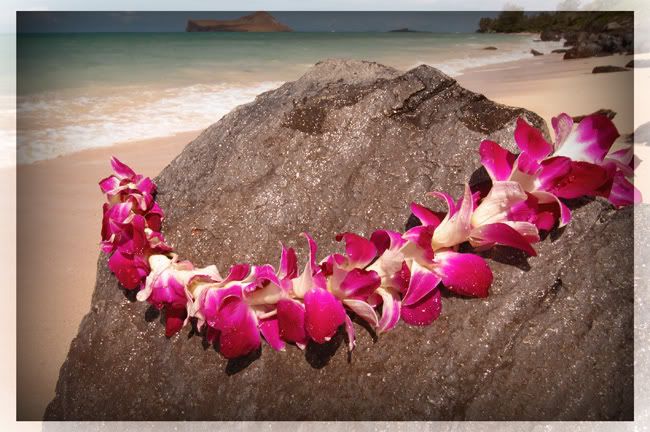 Hawaiian Lei on Beach Pictures, Images and Photos
