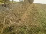DSC00230.jpg