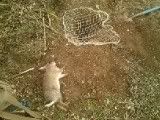 DSC00233.jpg