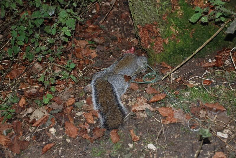 DSC_0397.jpg
