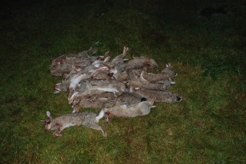 DSC_0833.jpg
