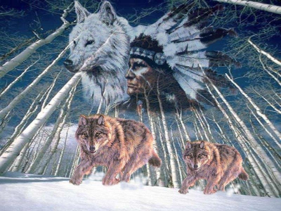 Indian Wolves
