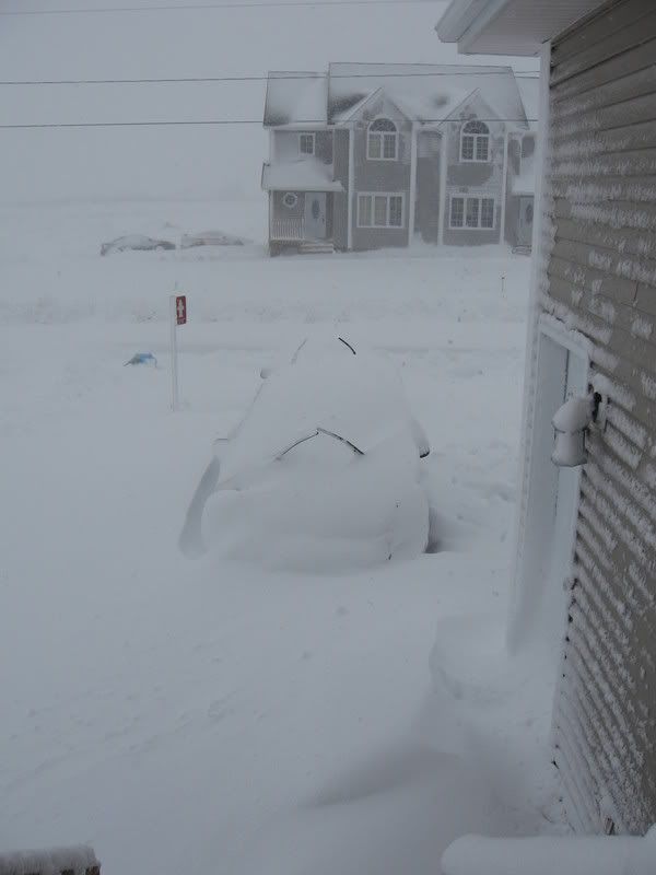 Snowstorm053.jpg