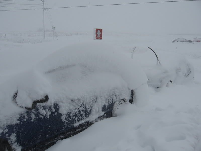 Snowstorm054.jpg