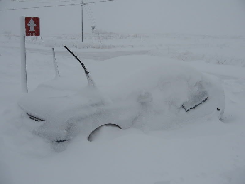 Snowstorm055.jpg