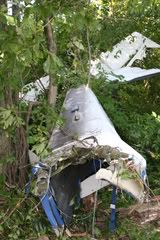 tall_section_broke_off_20100801185810_320_240.jpg