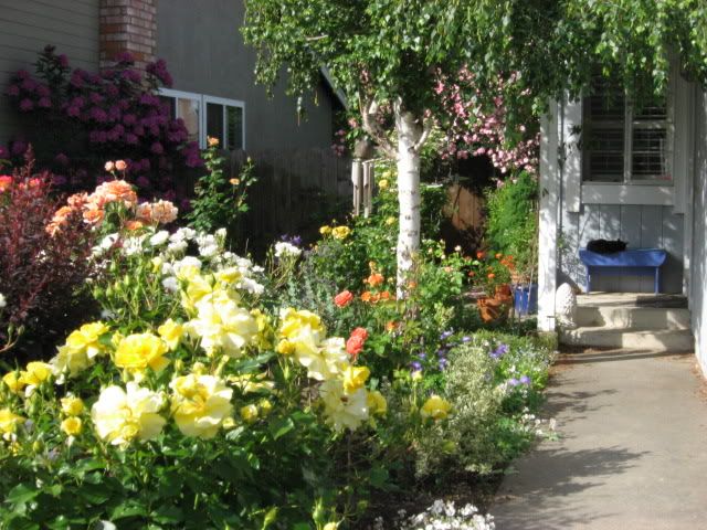 Photo Sharing and Video Hosting at Photobucket