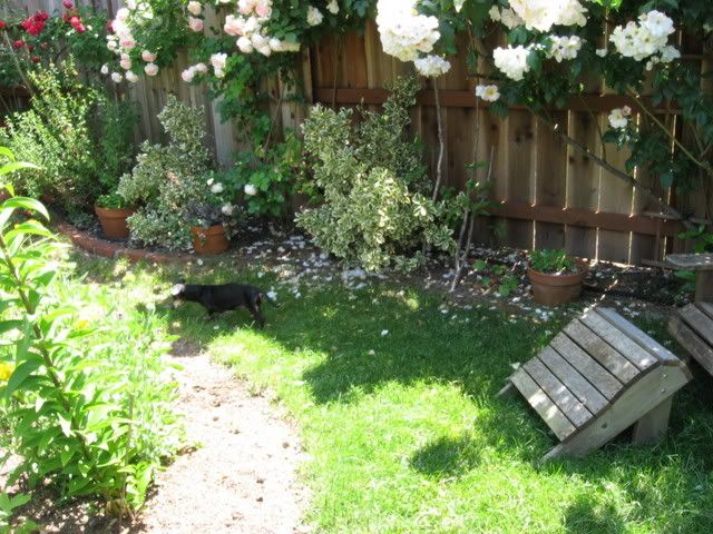 Photo Sharing and Video Hosting at Photobucket