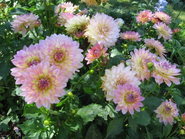 Photo Sharing and Video Hosting at Photobucket