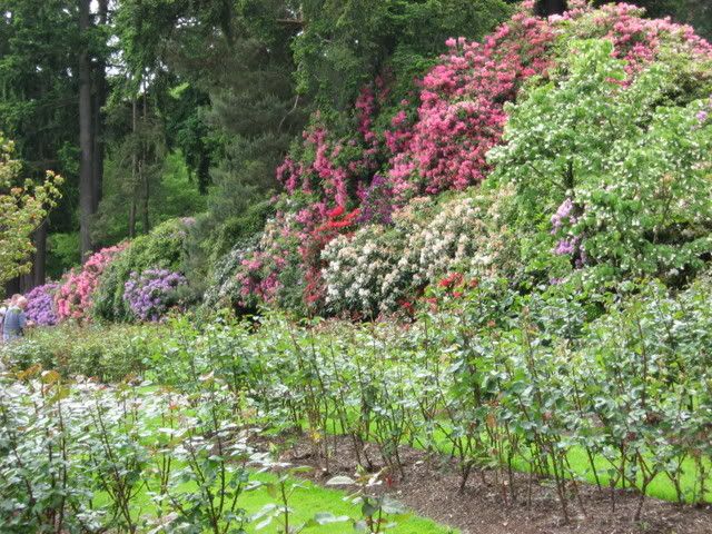 Photo Sharing and Video Hosting at Photobucket