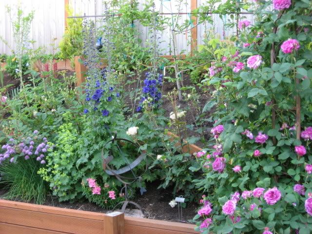 Photo Sharing and Video Hosting at Photobucket