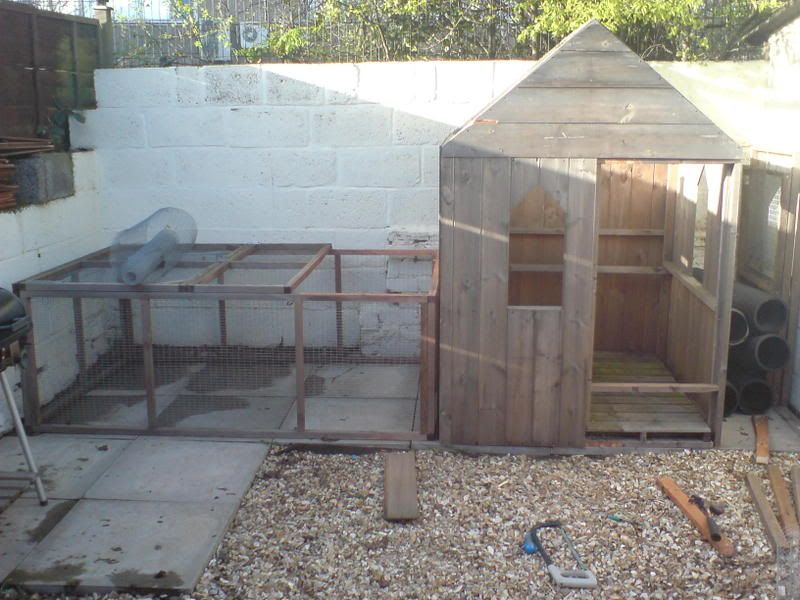 shed1.jpg