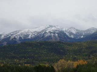Picture001-1.jpg