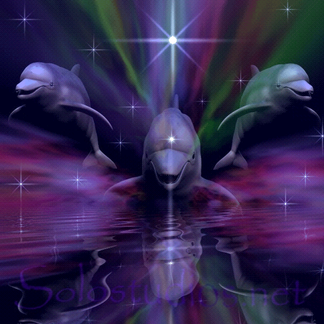 Albums 91+ Pictures Dolphin And Woman Fell In Love Latest