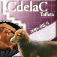 CdelaC Taffeta