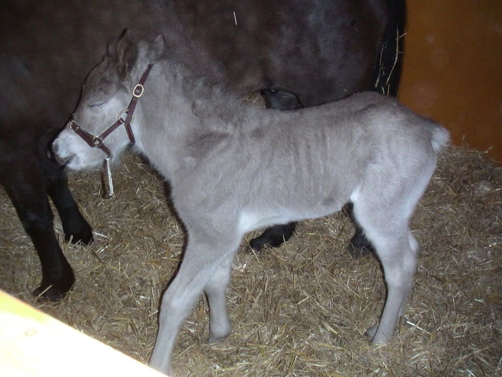 PICT0062.jpg