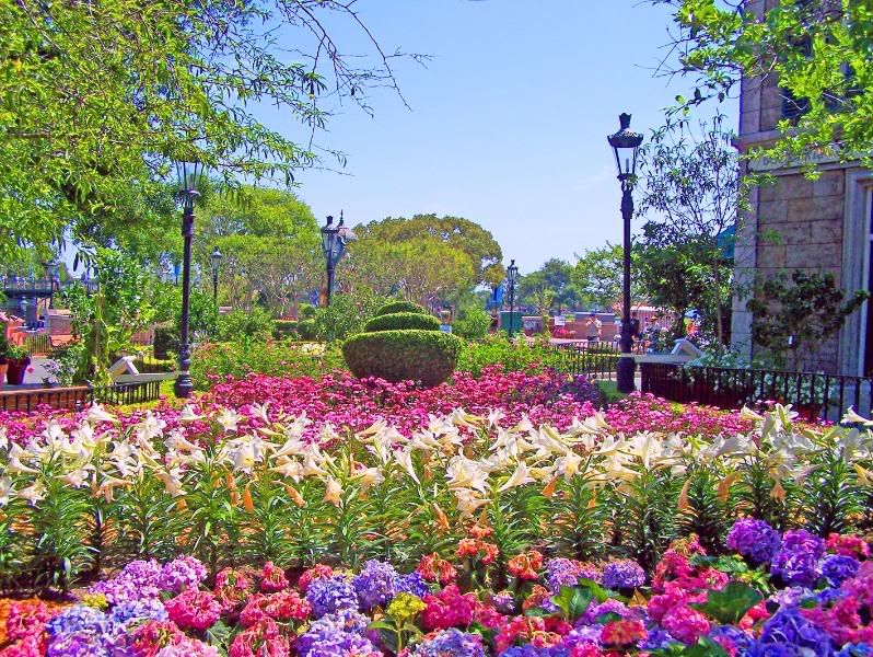WDWspring2008004-1.jpg