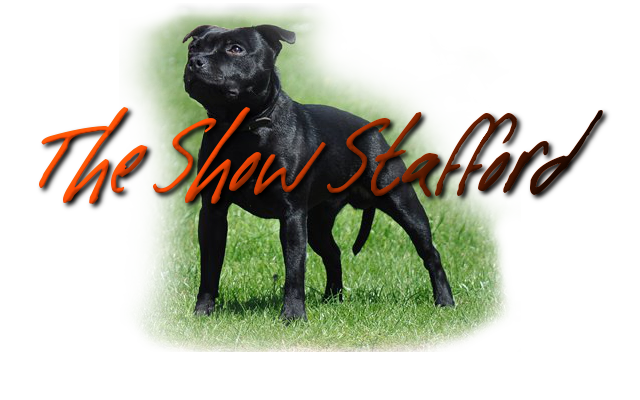 The Show Stafford Forum