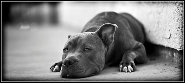 IMAGE: http://i74.photobucket.com/albums/i254/RNBzie/l_74b74c45989f473cbdc4a4e5989c62b1.jpg