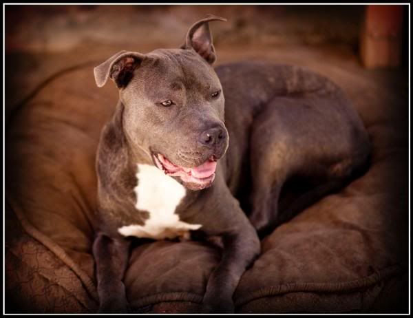 IMAGE: http://i74.photobucket.com/albums/i254/RNBzie/l_ae58519847044d2a99dfde33df783351.jpg