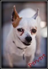 IMAGE: http://i74.photobucket.com/albums/i254/RNBzie/m_937141749db84d3ea8c584d6e47708-1.jpg