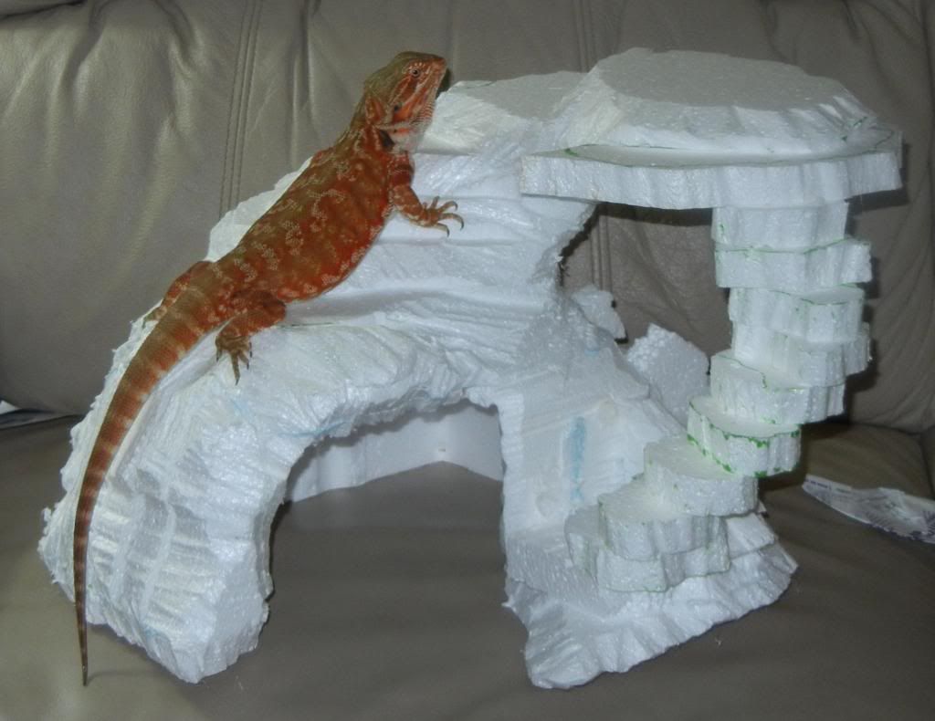 Building Styrofoam Basking Spotcavefinished • Bearded Dragon Org