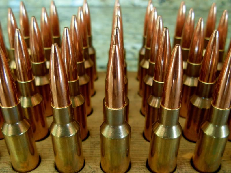 lapua65x47ammo40001.jpg