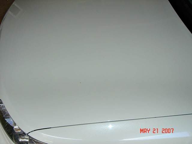 DSC00057.jpg