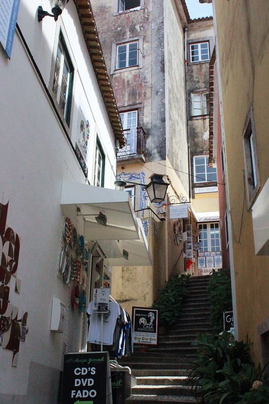 photo IMG_8602-jj_zps7v0gr3nx.jpg