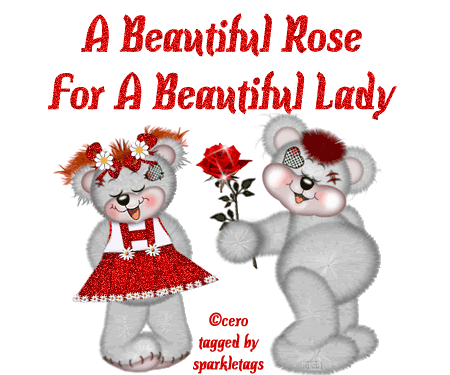 a beautiful rose for a beautiful lady