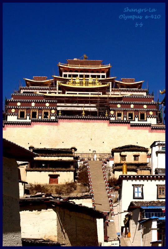 photo lama01.jpg