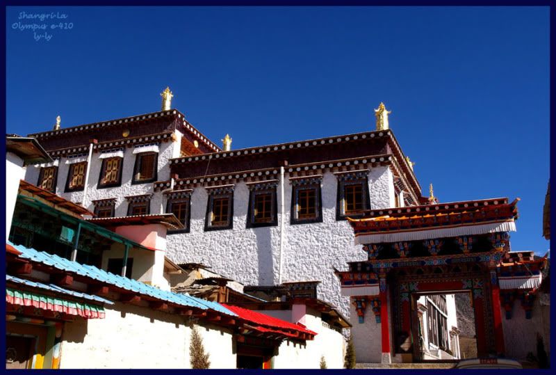 photo lama03.jpg