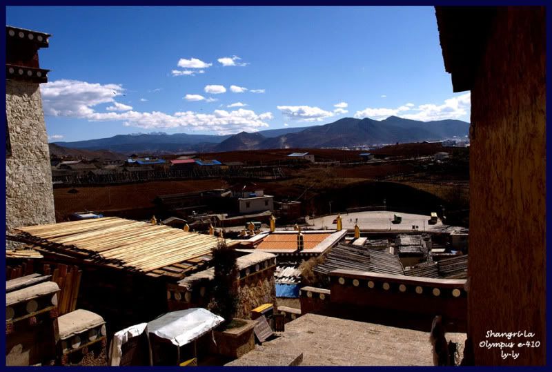 photo lama06-1.jpg