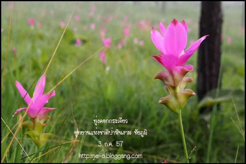 photo bj007.jpg