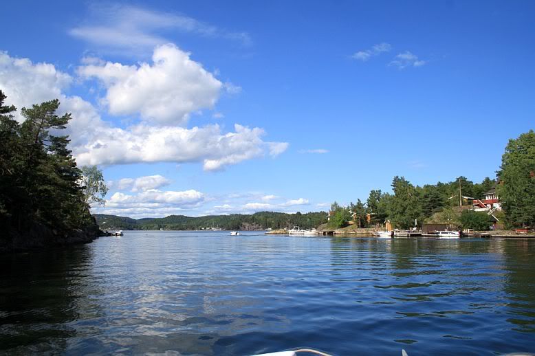 LLamas are here! Pic heavy - Goats