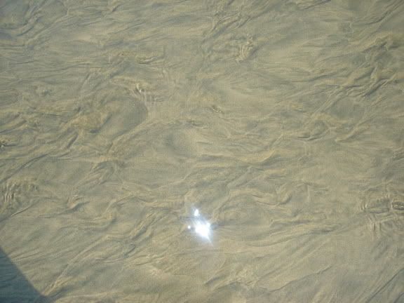 Image hosting by Photobucket