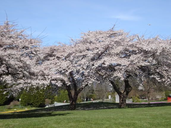 Image hosting by Photobucket