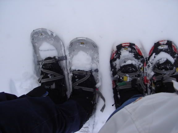 Image hosting by Photobucket