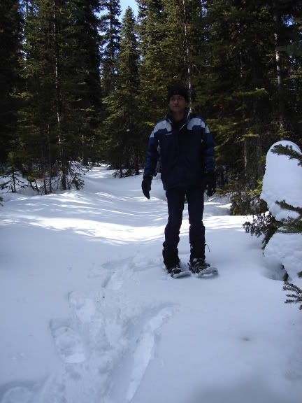 Image hosting by Photobucket