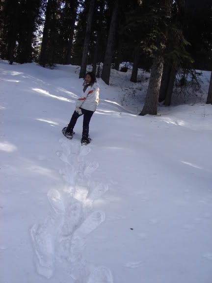 Image hosting by Photobucket