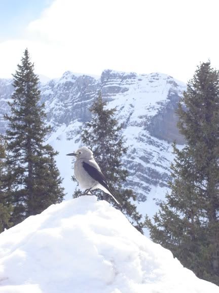 Image hosting by Photobucket