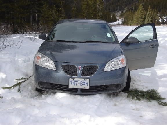 Image hosting by Photobucket