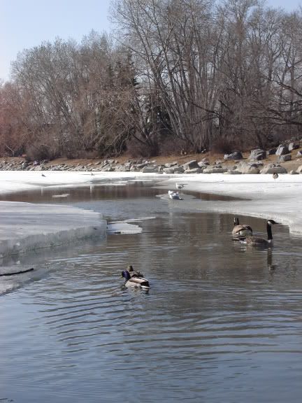 Image hosting by Photobucket