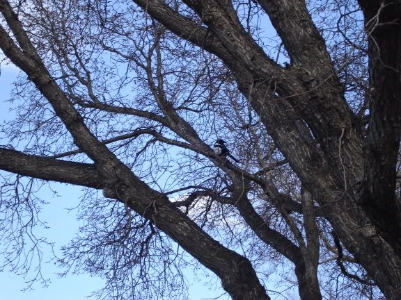 Image hosting by Photobucket